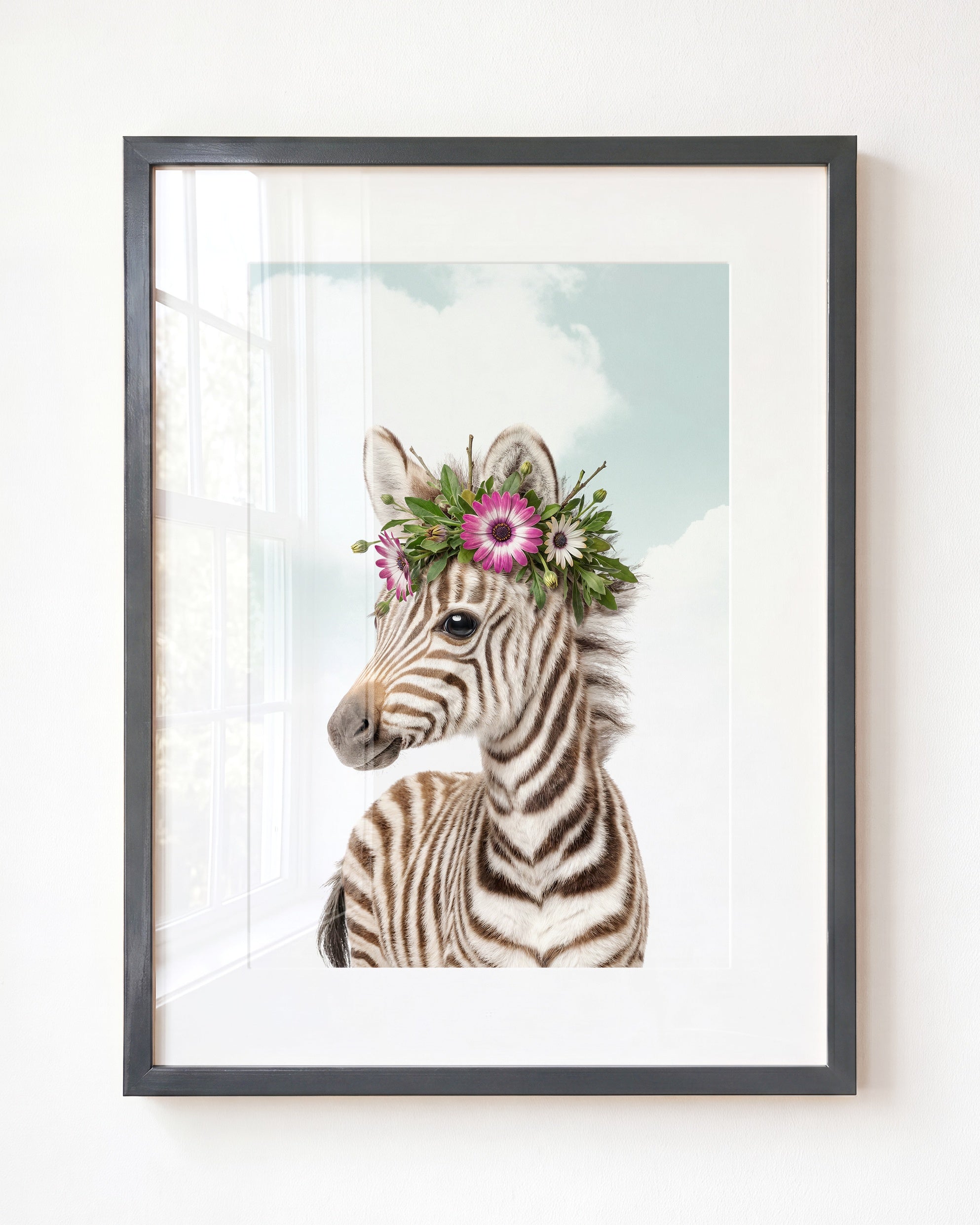 Baby Zebra