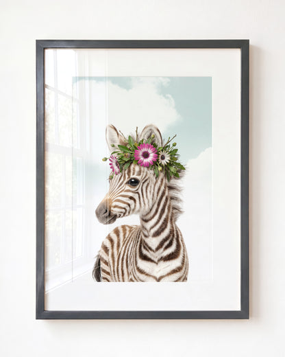 Baby Zebra