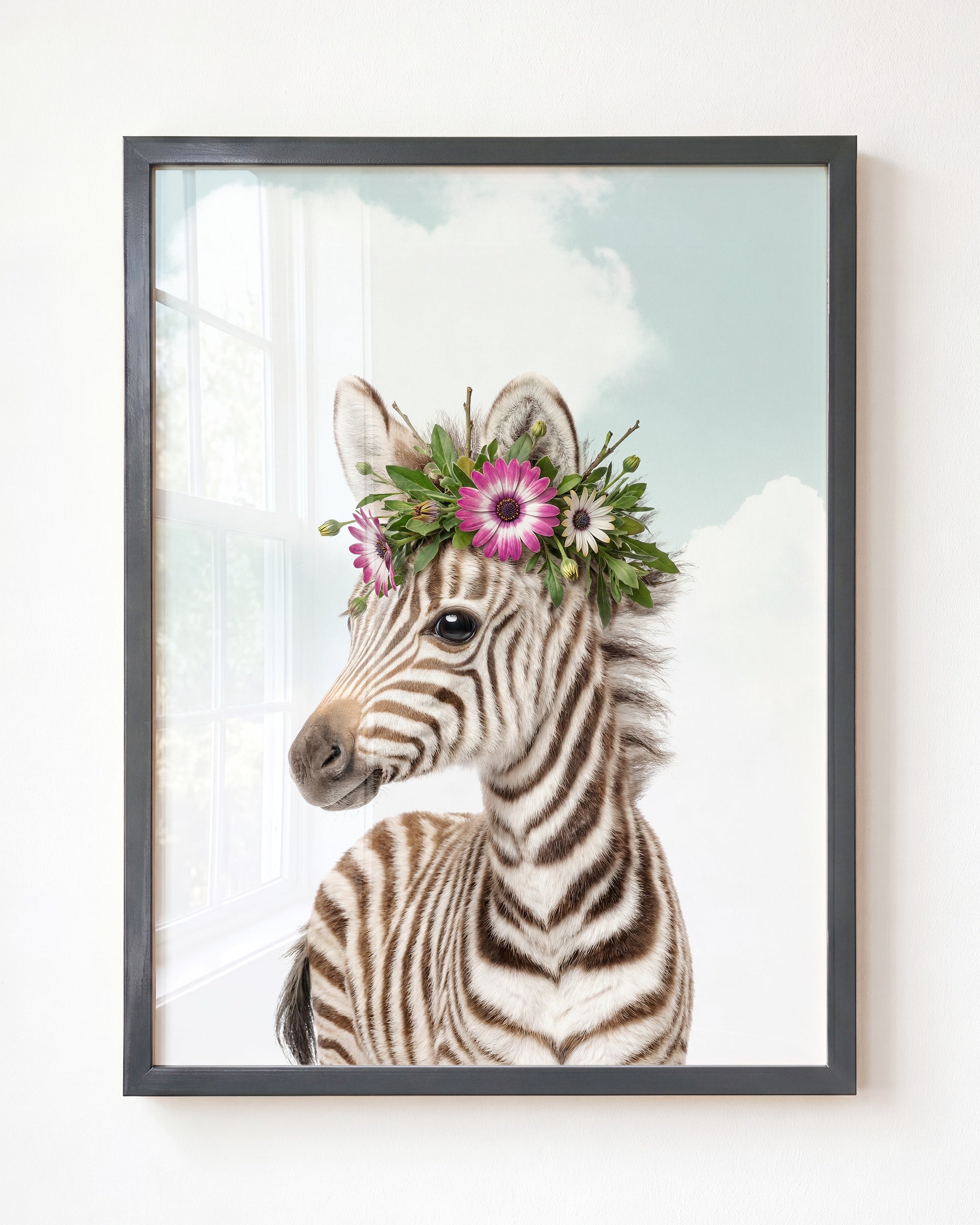 Baby Zebra