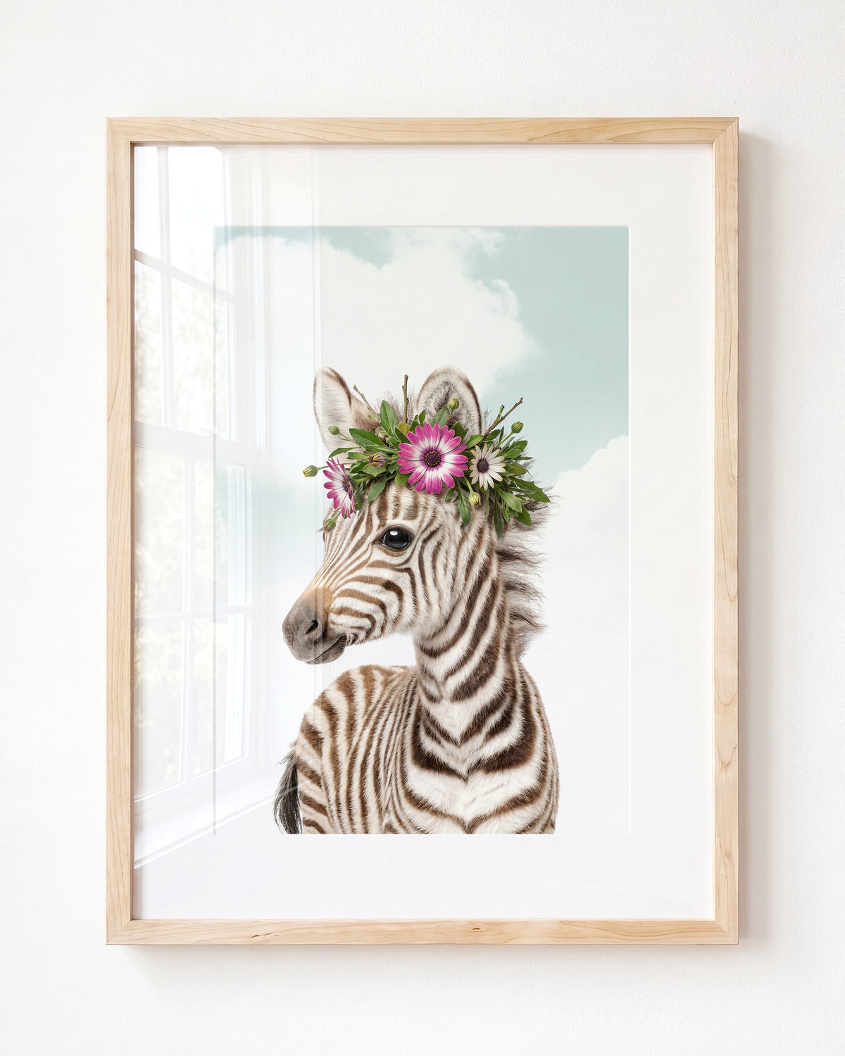 Baby Zebra