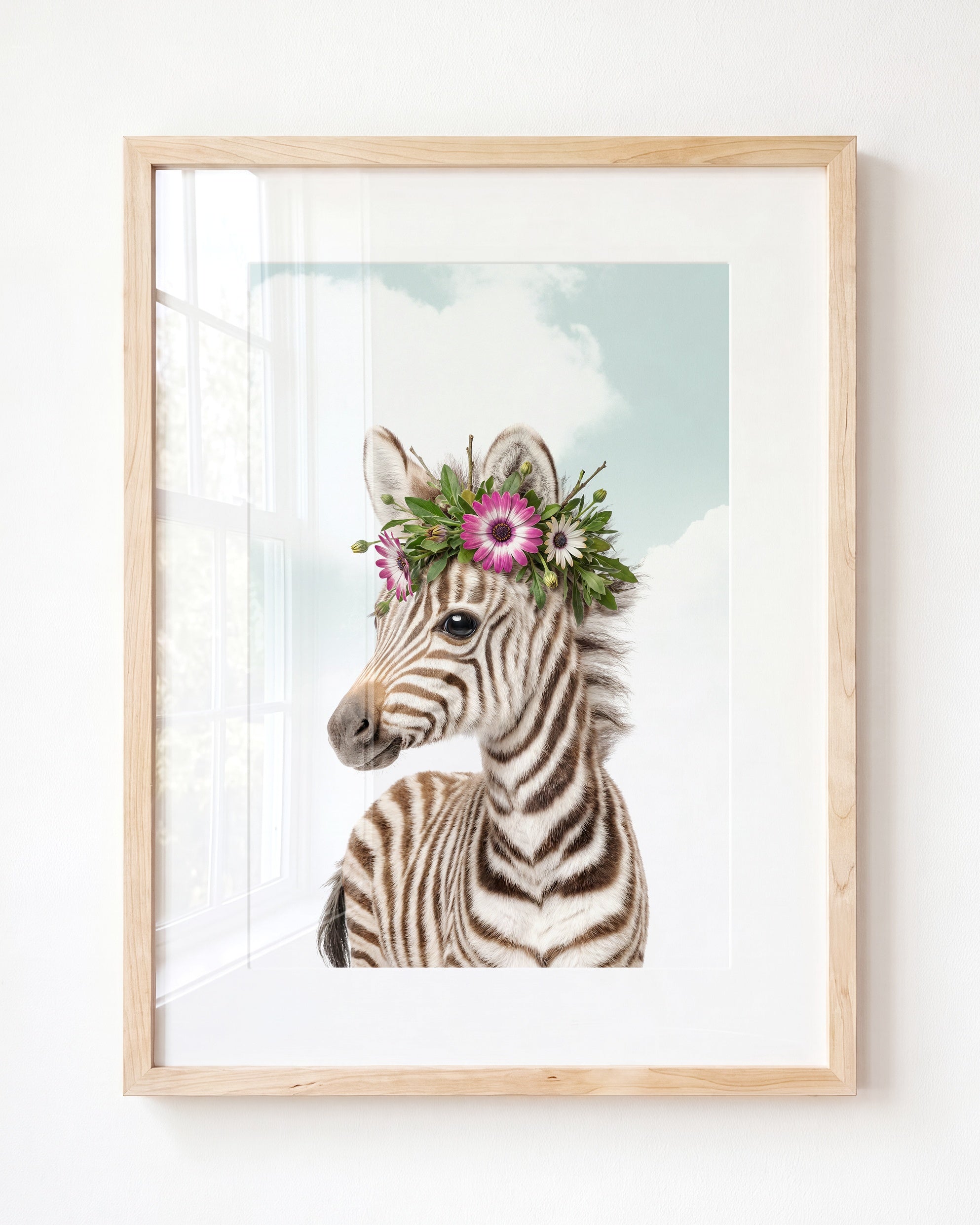 Baby Zebra