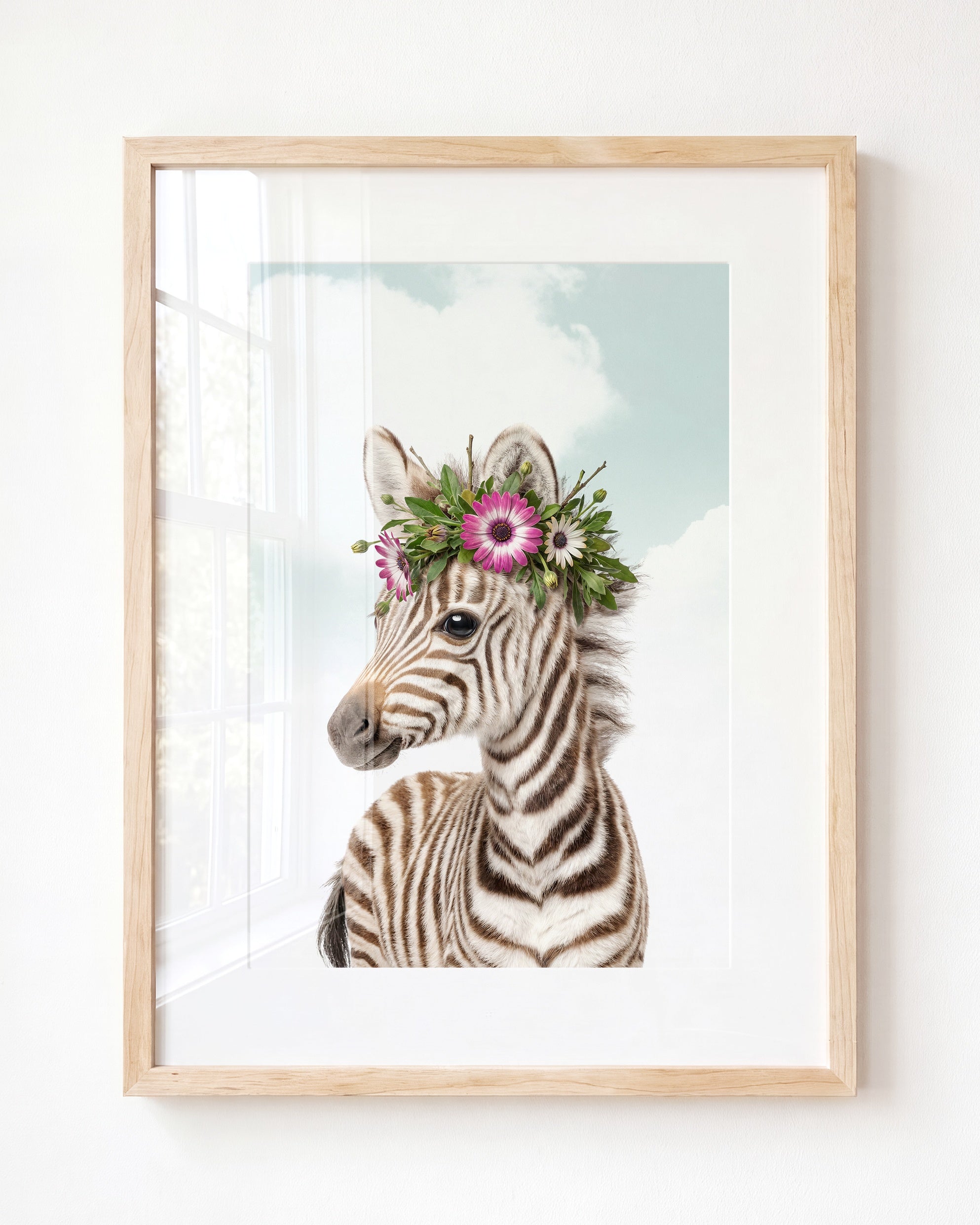 Baby Zebra