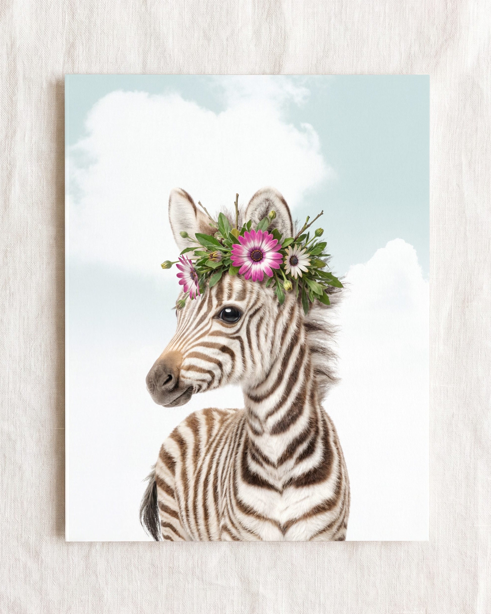 Baby Zebra