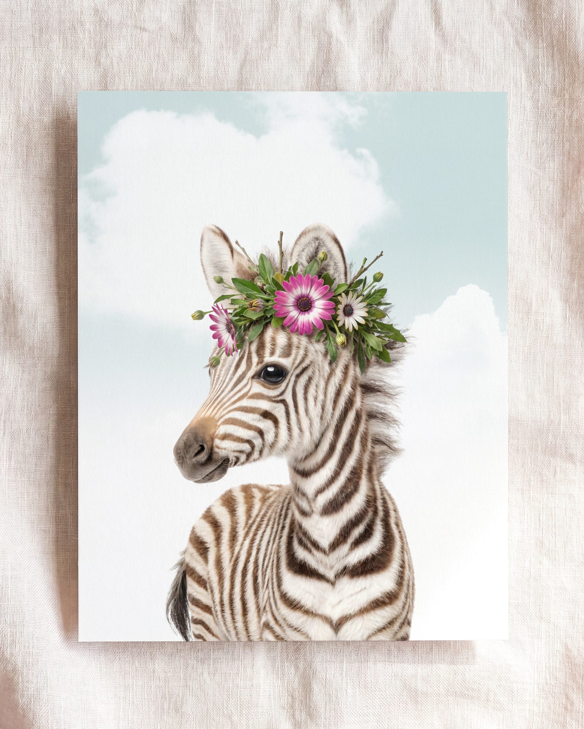 Baby Zebra
