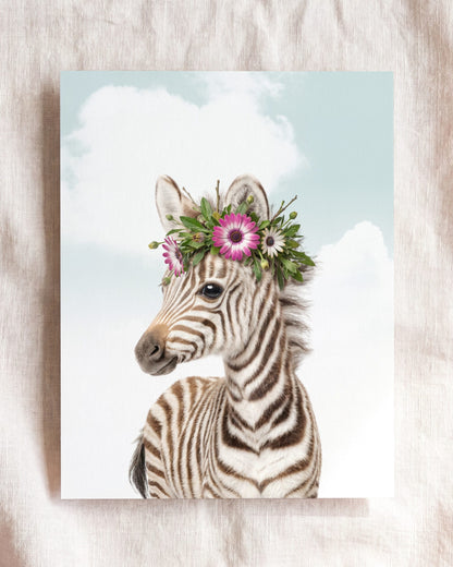 Baby Zebra