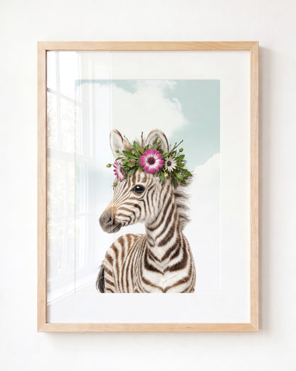 Baby Zebra
