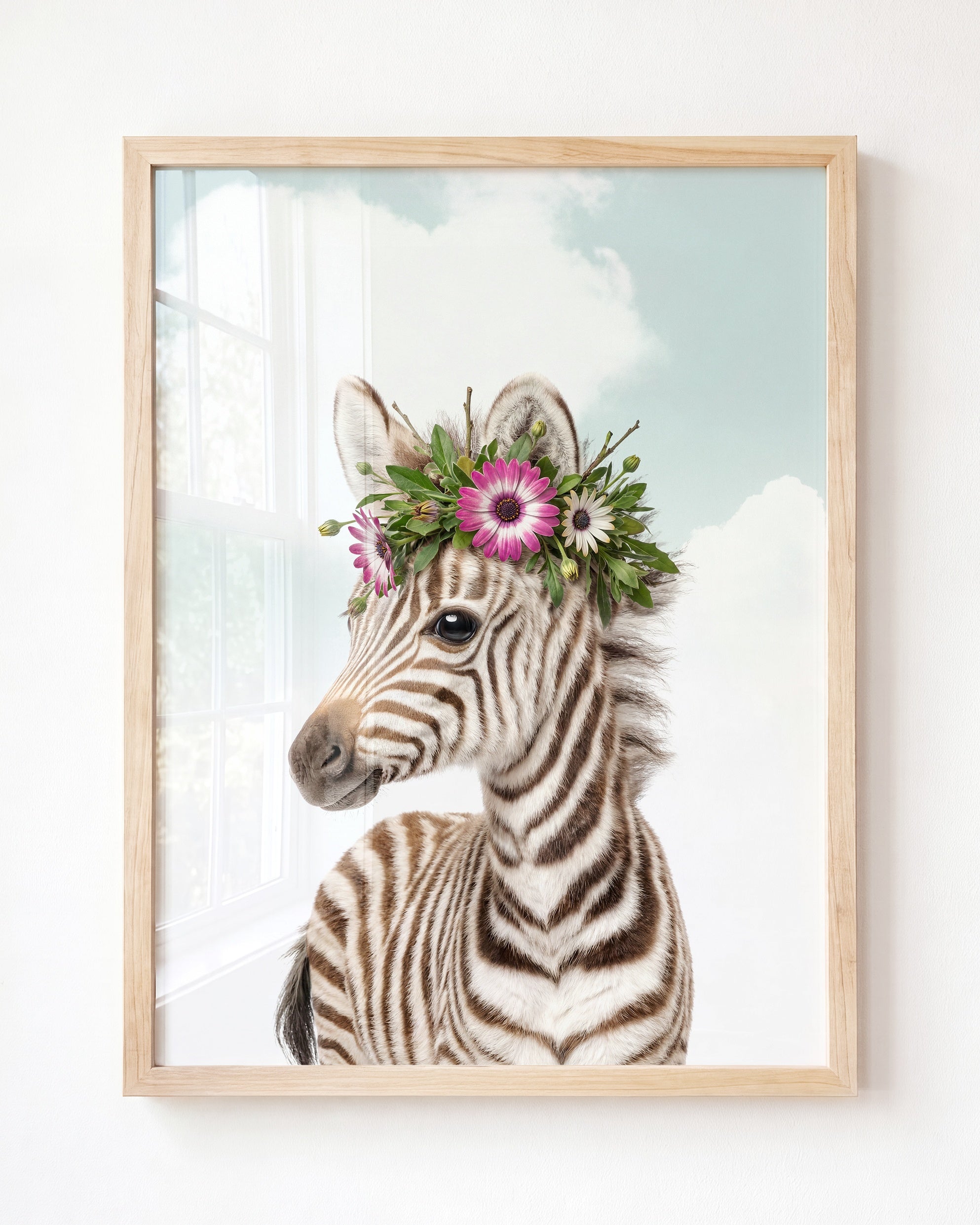 Baby Zebra