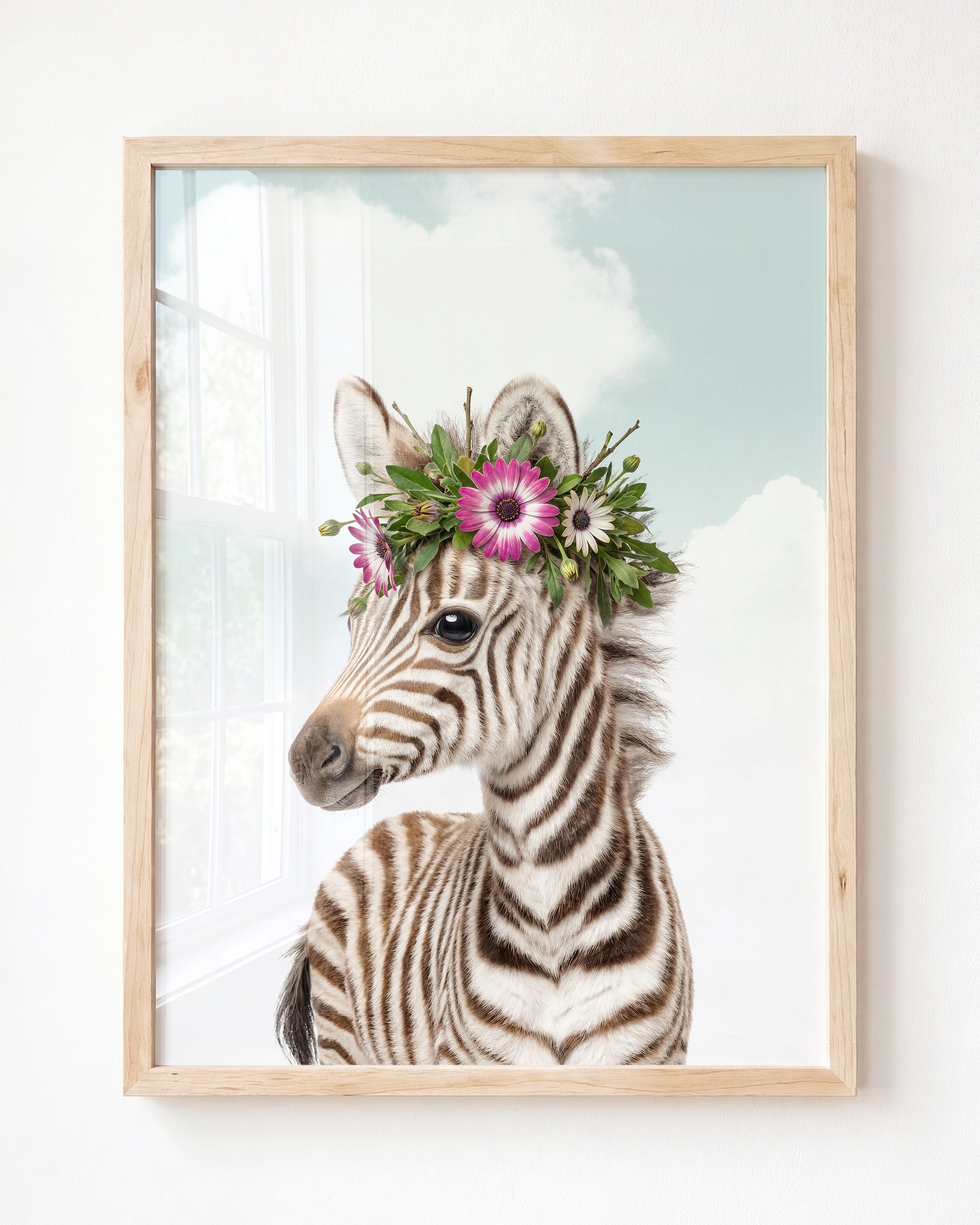 Baby Zebra