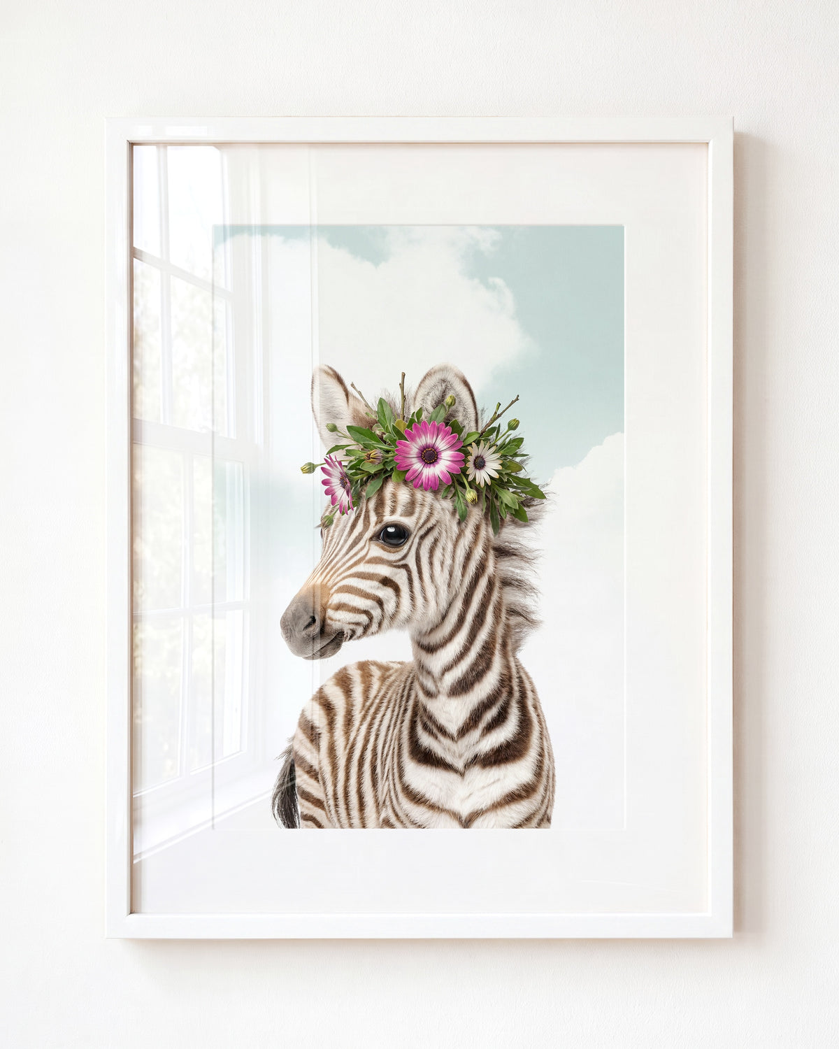 Baby Zebra