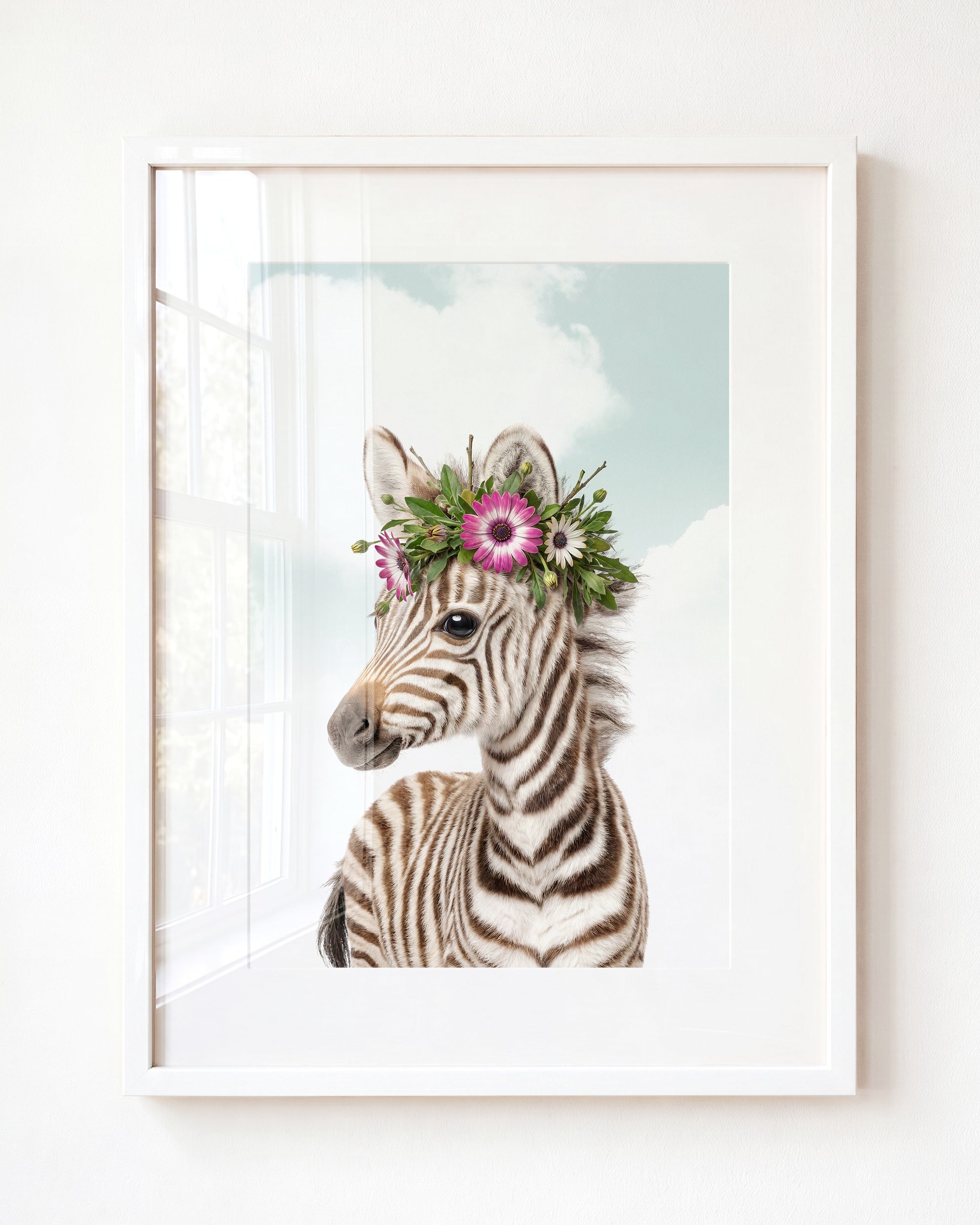 Baby Zebra