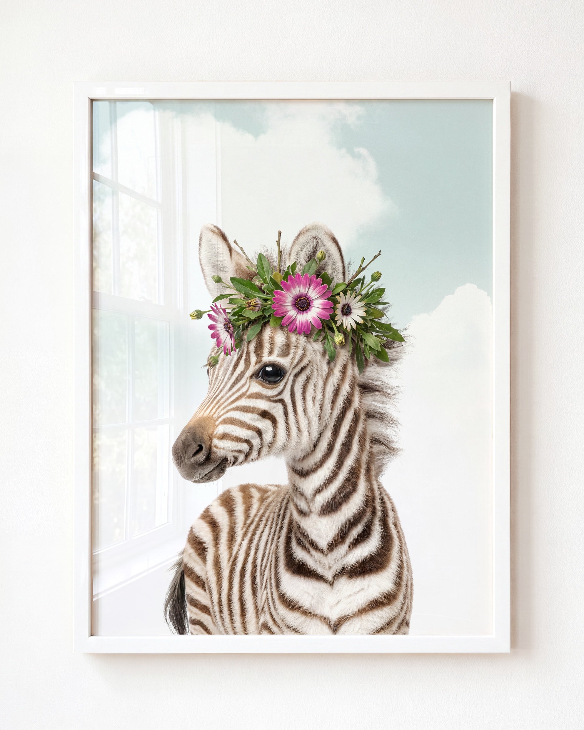 Baby Zebra