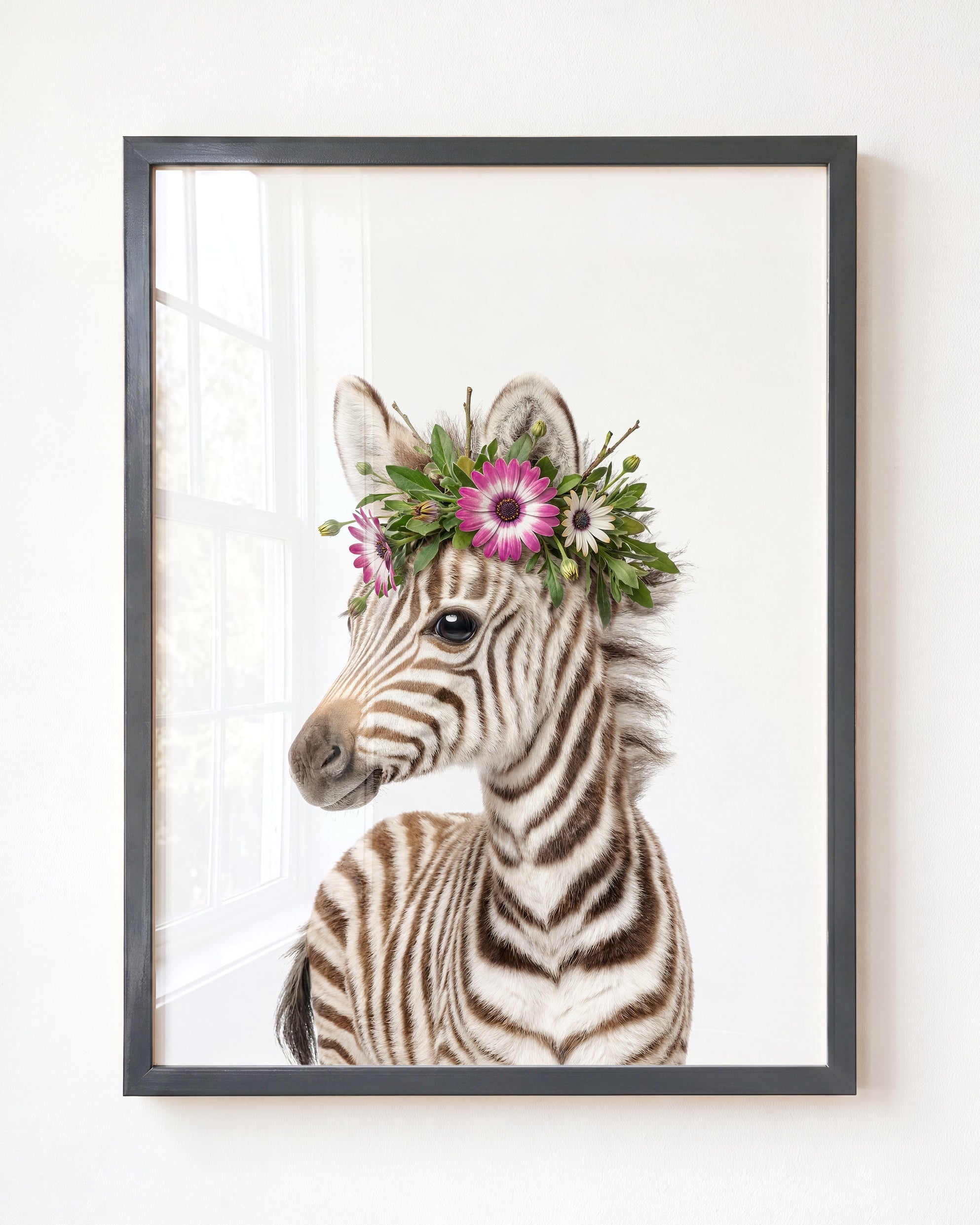 Baby Zebra