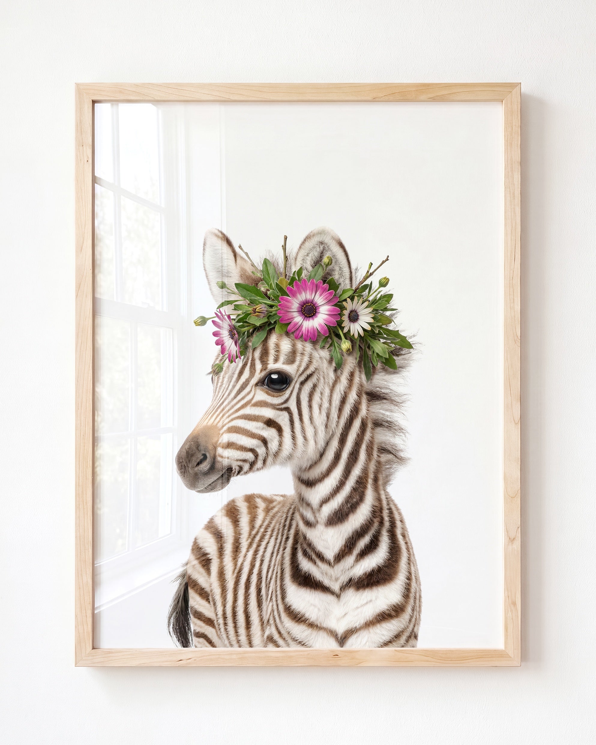Baby Zebra