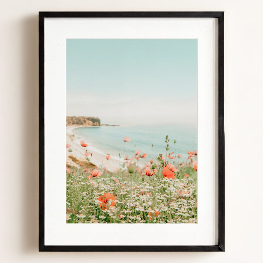 Beach Poppies