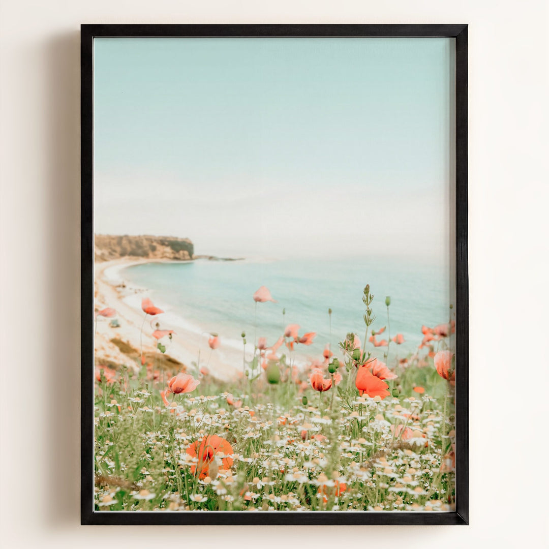 Beach Poppies