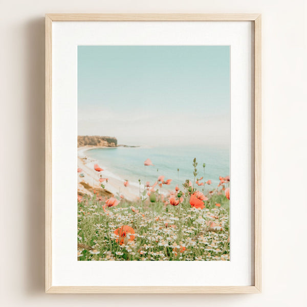 Beach Poppies — Framed