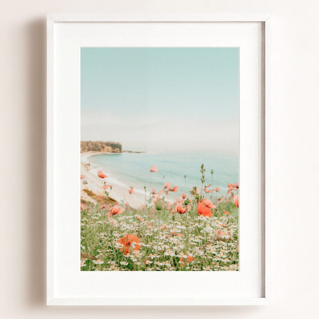 Beach Poppies