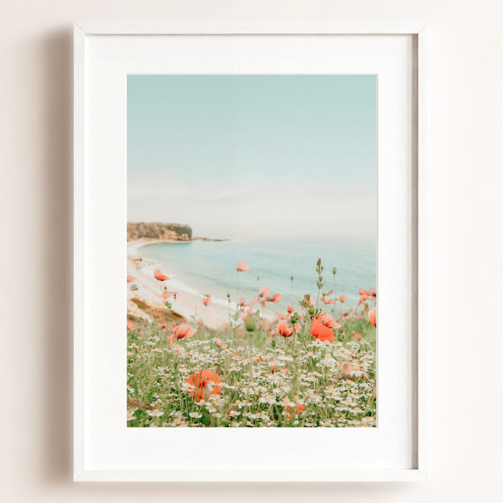 Beach Poppies