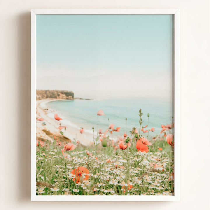 Beach Poppies