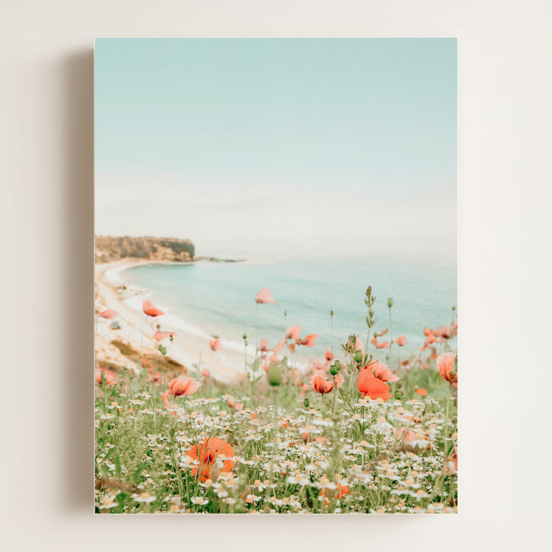 Beach Poppies