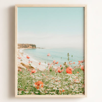 Beach Poppies