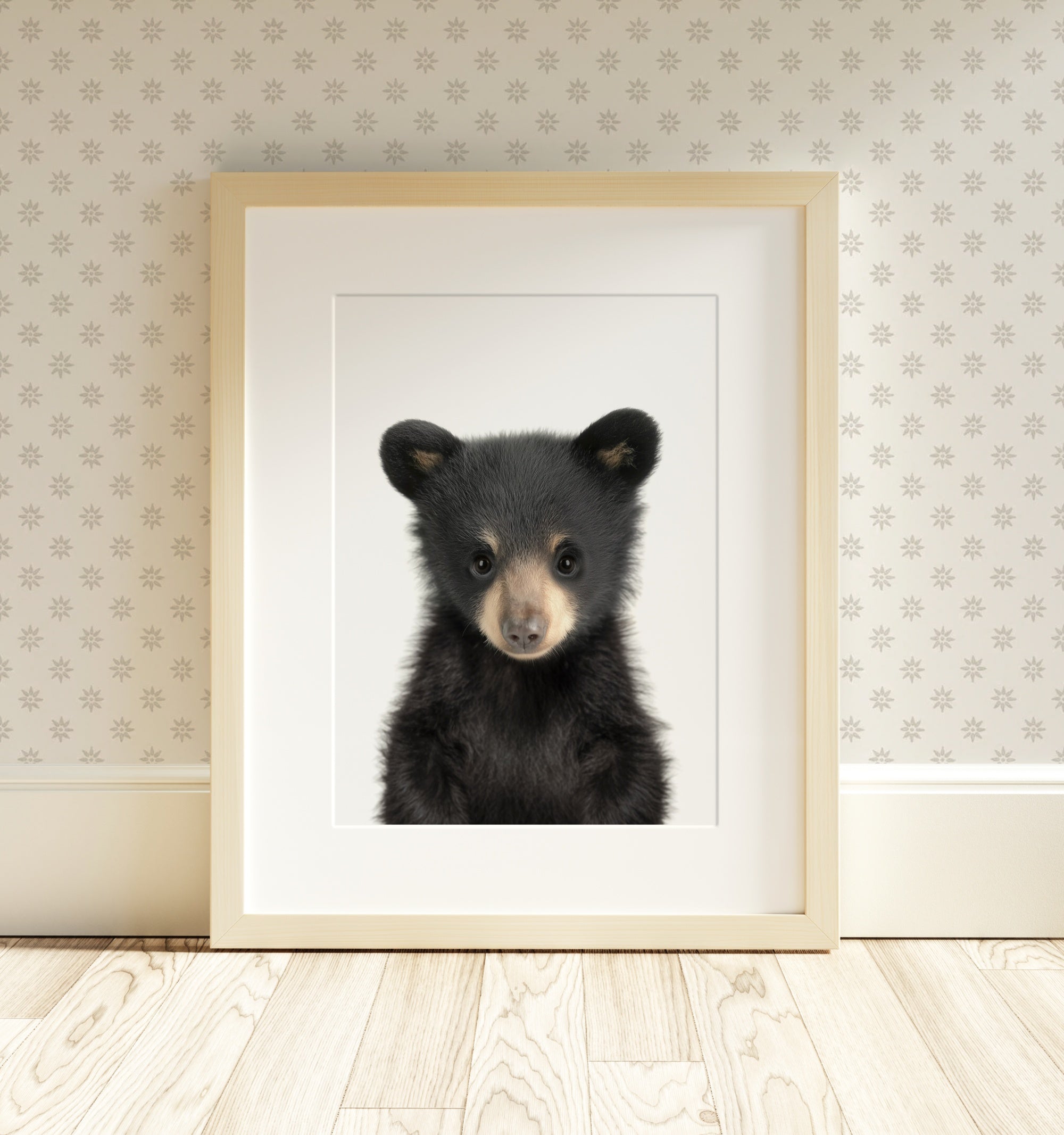 The Baby Animals 2026 Collection - Classic