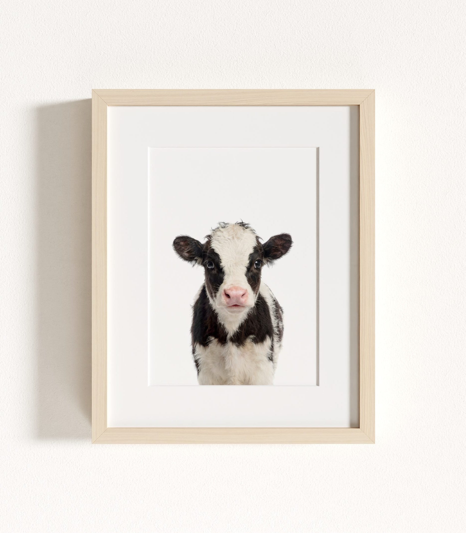 The Baby Animals 2026 Collection