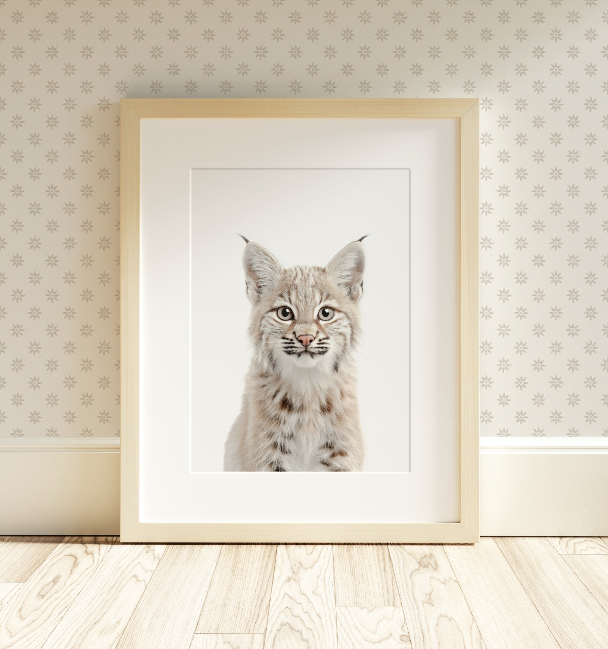 The Baby Animals 2026 Collection - Classic