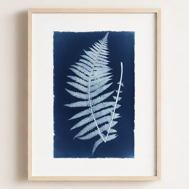 Botanical Cyanotype No. 1