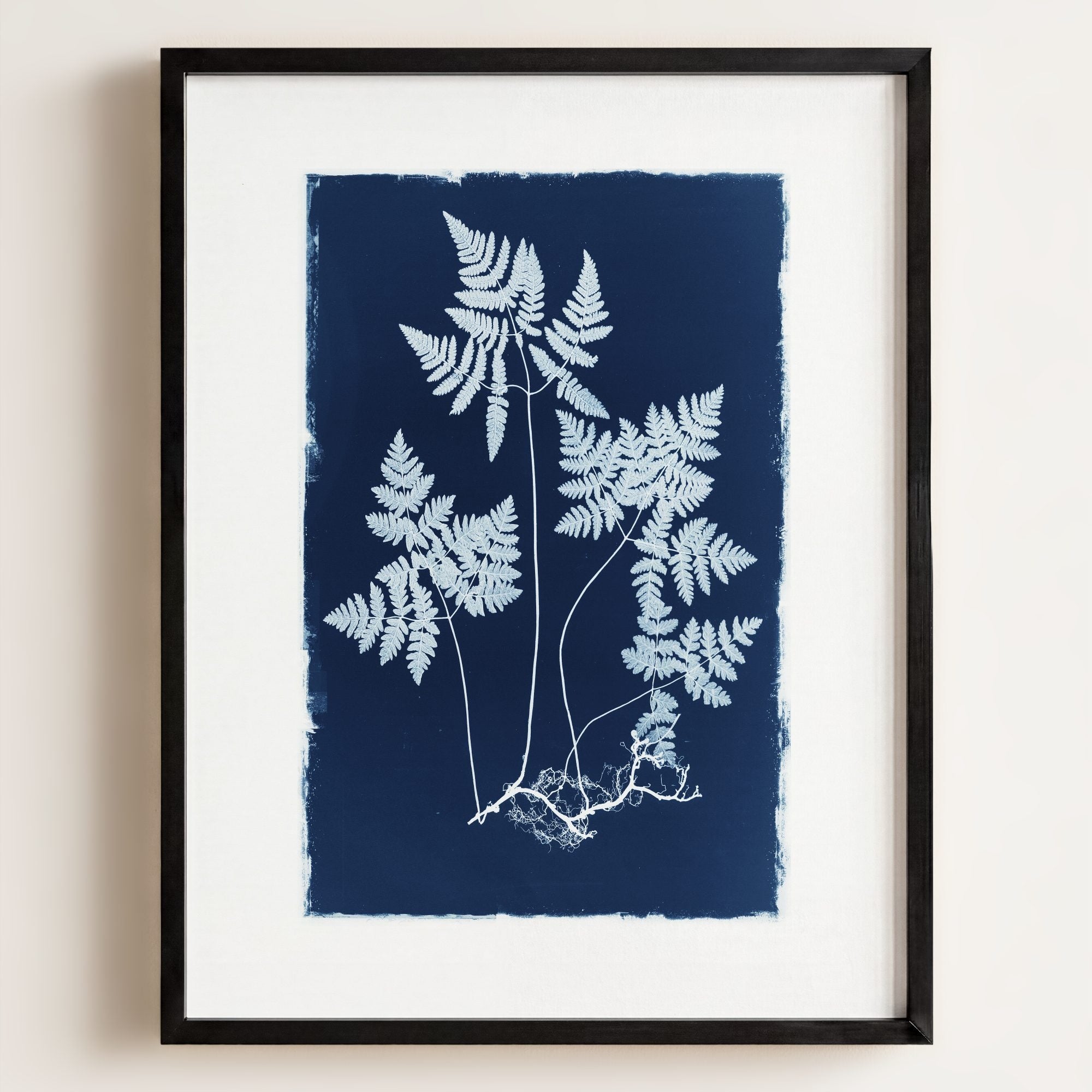 Botanical Cyanotype No. 2 - 5x7 · Fine Art Print (Unframed