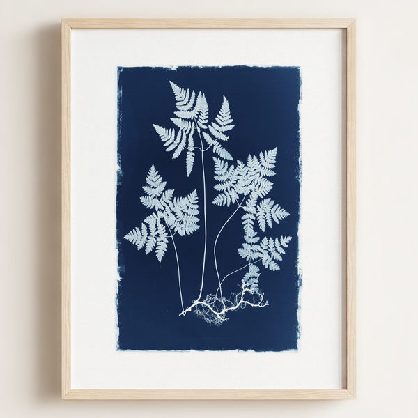 Botanical Cyanotype No. 2