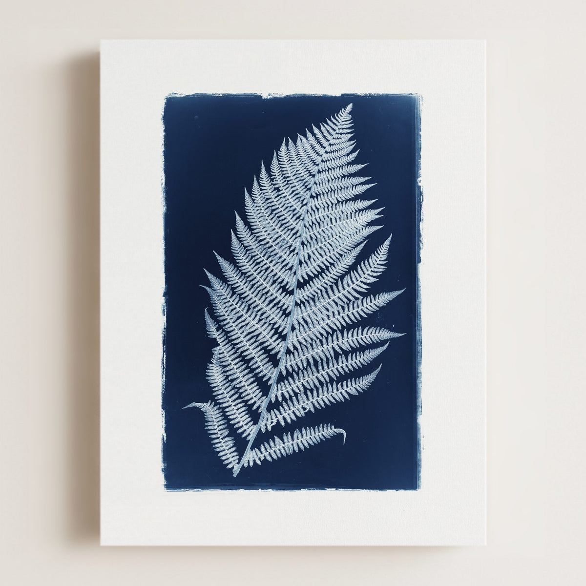 Botanical Cyanotype No. 3