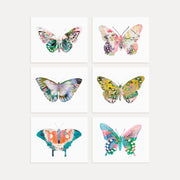 Butterflies Horizontal