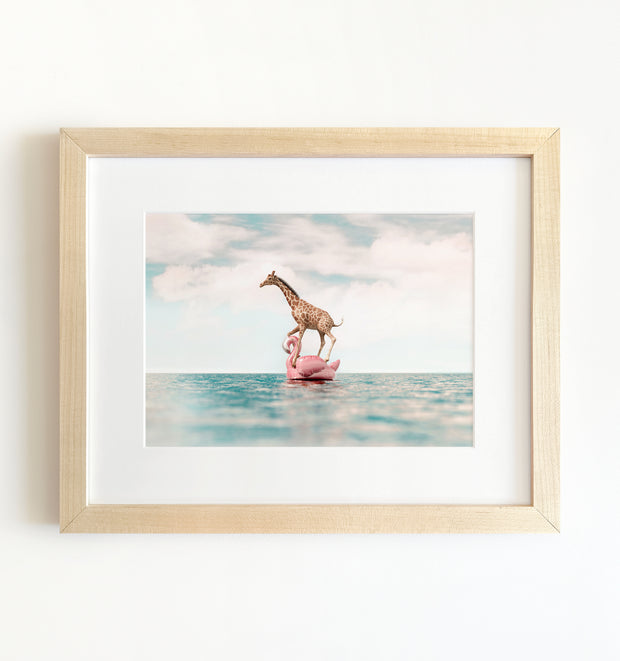 Giraffe Afloat a Flamingo