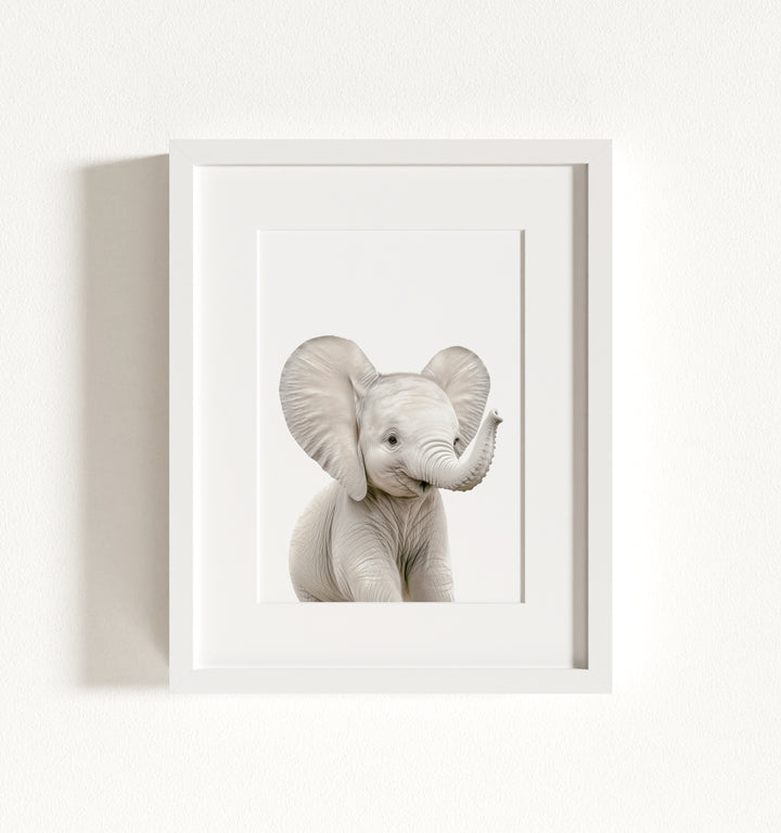 Baby Elephant Framed Art