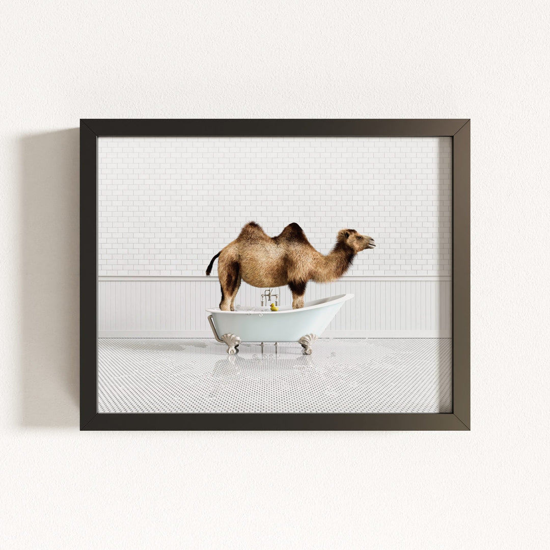 Camel in Blue Bathtub