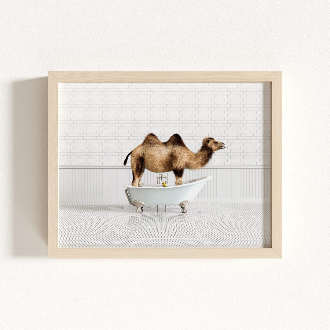 Camel in Blue Bathtub