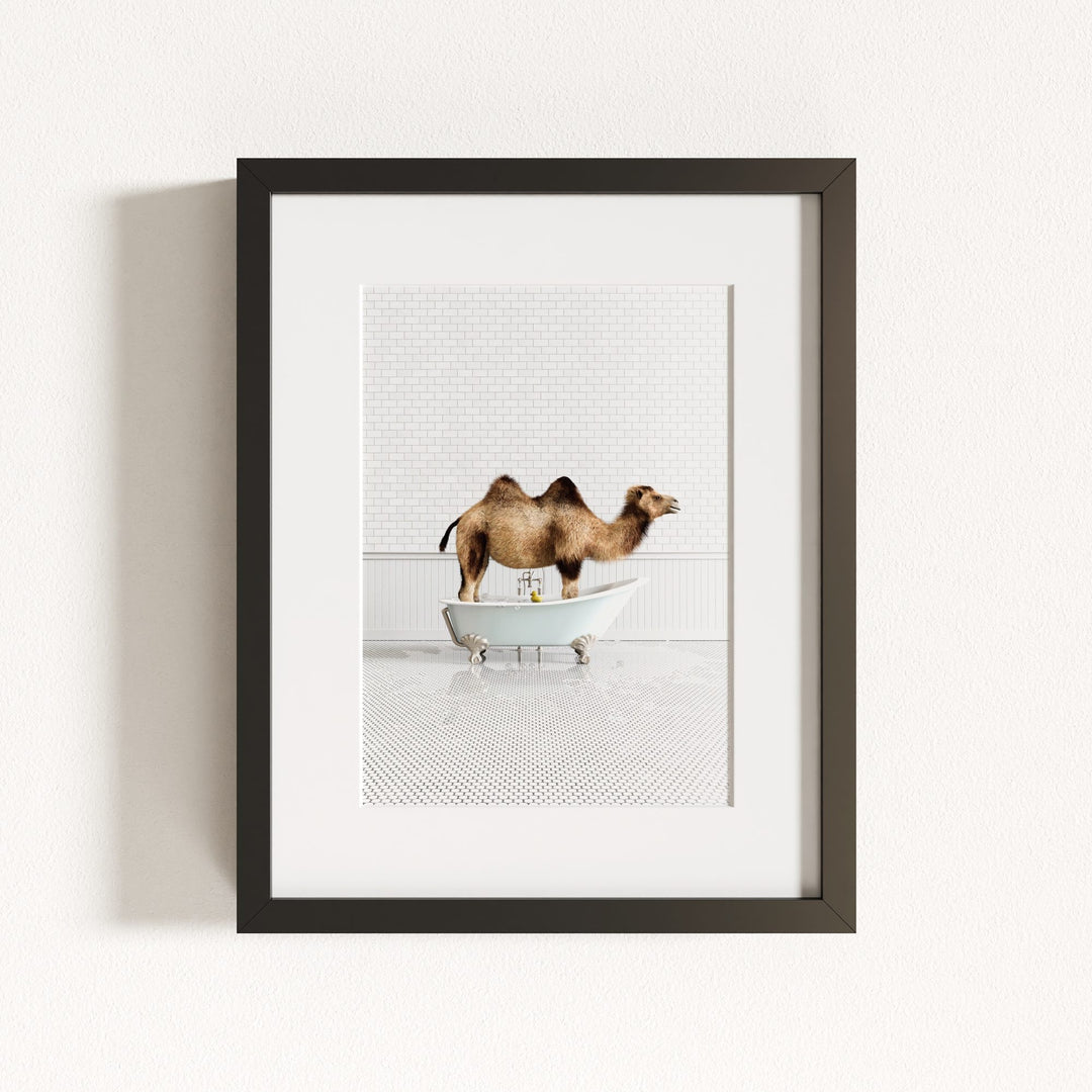Camel in Blue Bathtub