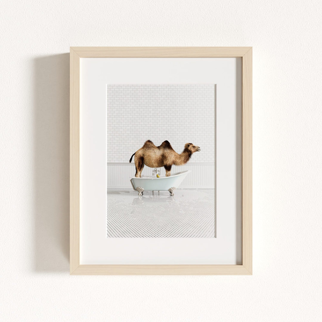Camel in Blue Bathtub