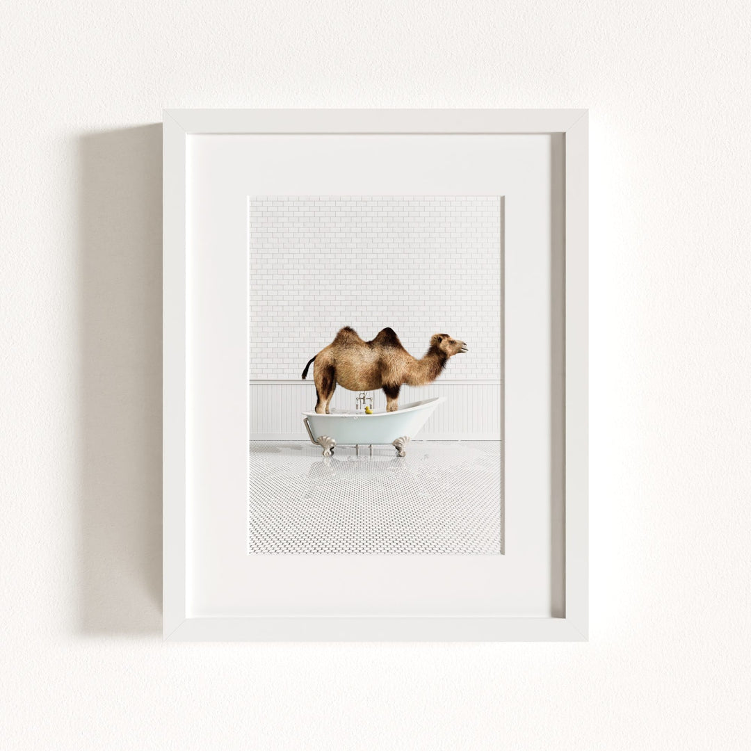 Camel in Blue Bathtub