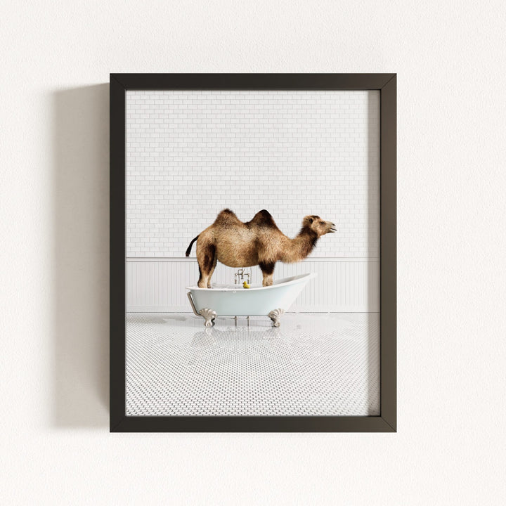 Camel in Blue Bathtub