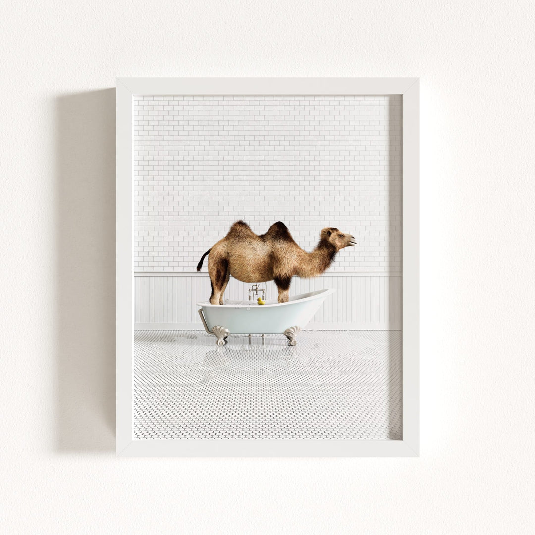 Camel in Blue Bathtub