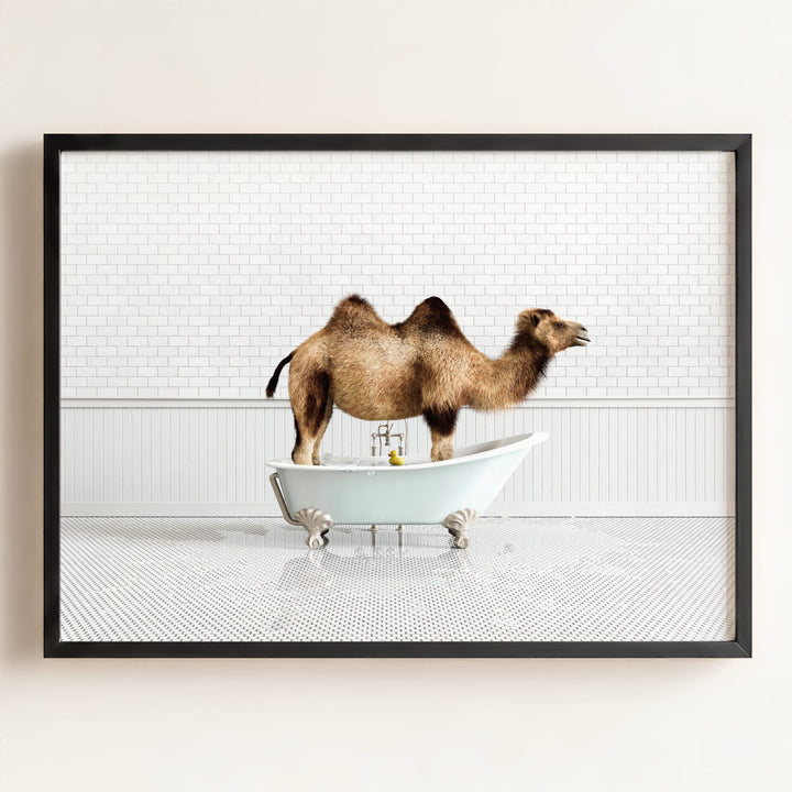 Camel in Blue Bathtub
