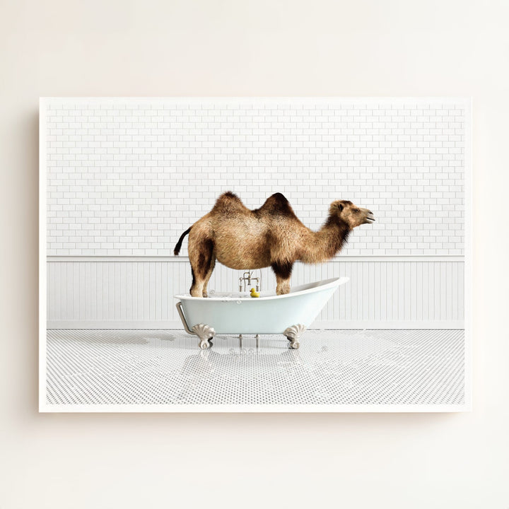 Camel in Blue Bathtub