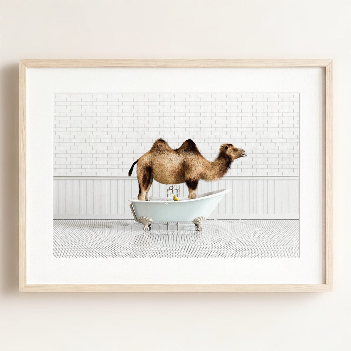 Camel in Blue Bathtub — Framed