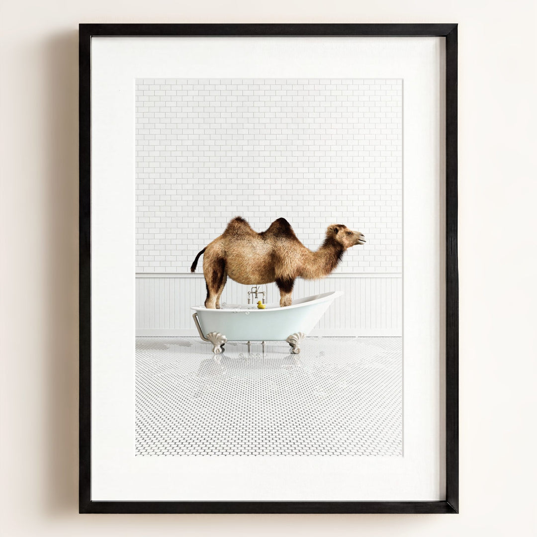 Camel in Blue Bathtub