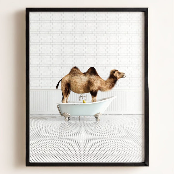 Camel in Blue Bathtub