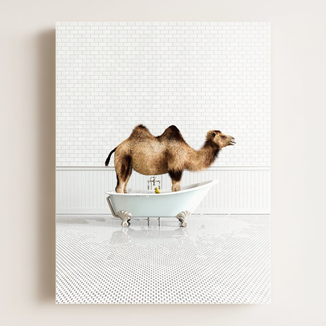 Camel in Blue Bathtub