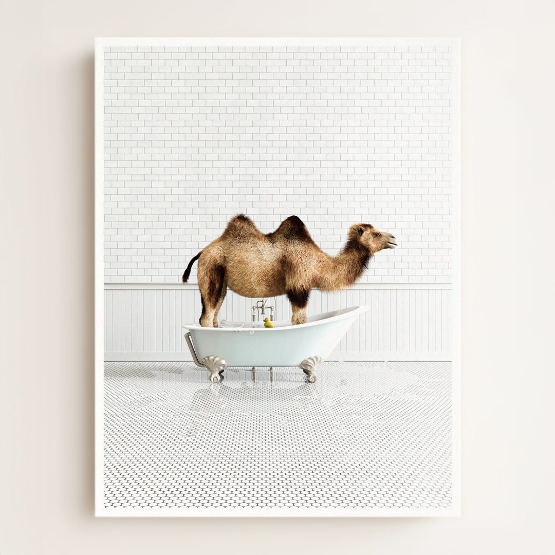 Camel in Blue Bathtub