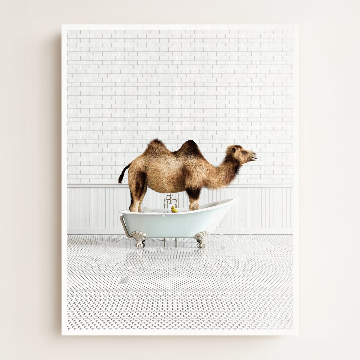 Camel in Blue Bathtub